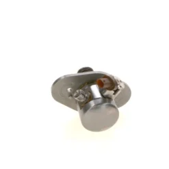 Bosch Fuel Pump 0261520520 -AutohausAZ shop 026152052013158228